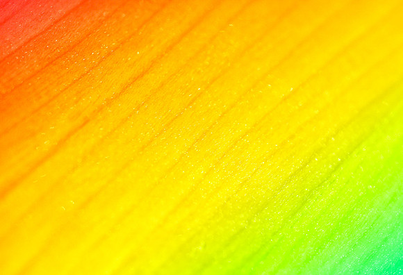 Mirror Wood Floor Rainbow