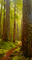 Sol Duc 1