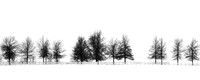Tree-lined Fence Row in Winter print