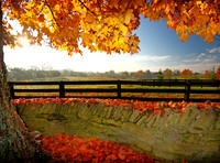 Fall 2