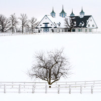 Manchester Farms in snow