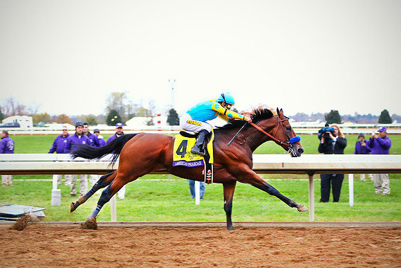 American Pharoah 2 Final
