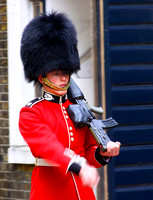 Buckingham Palace Guards
