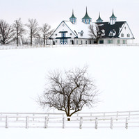 Manchester Farms in snow