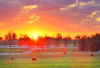 Bluegrass Sunrise 2