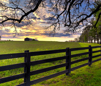 Kentucky Sunrise
